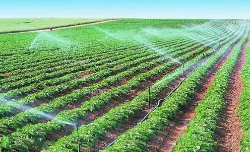 日小逼看黄网农田高 效节水灌溉